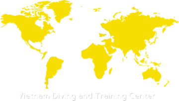 Sea Coral